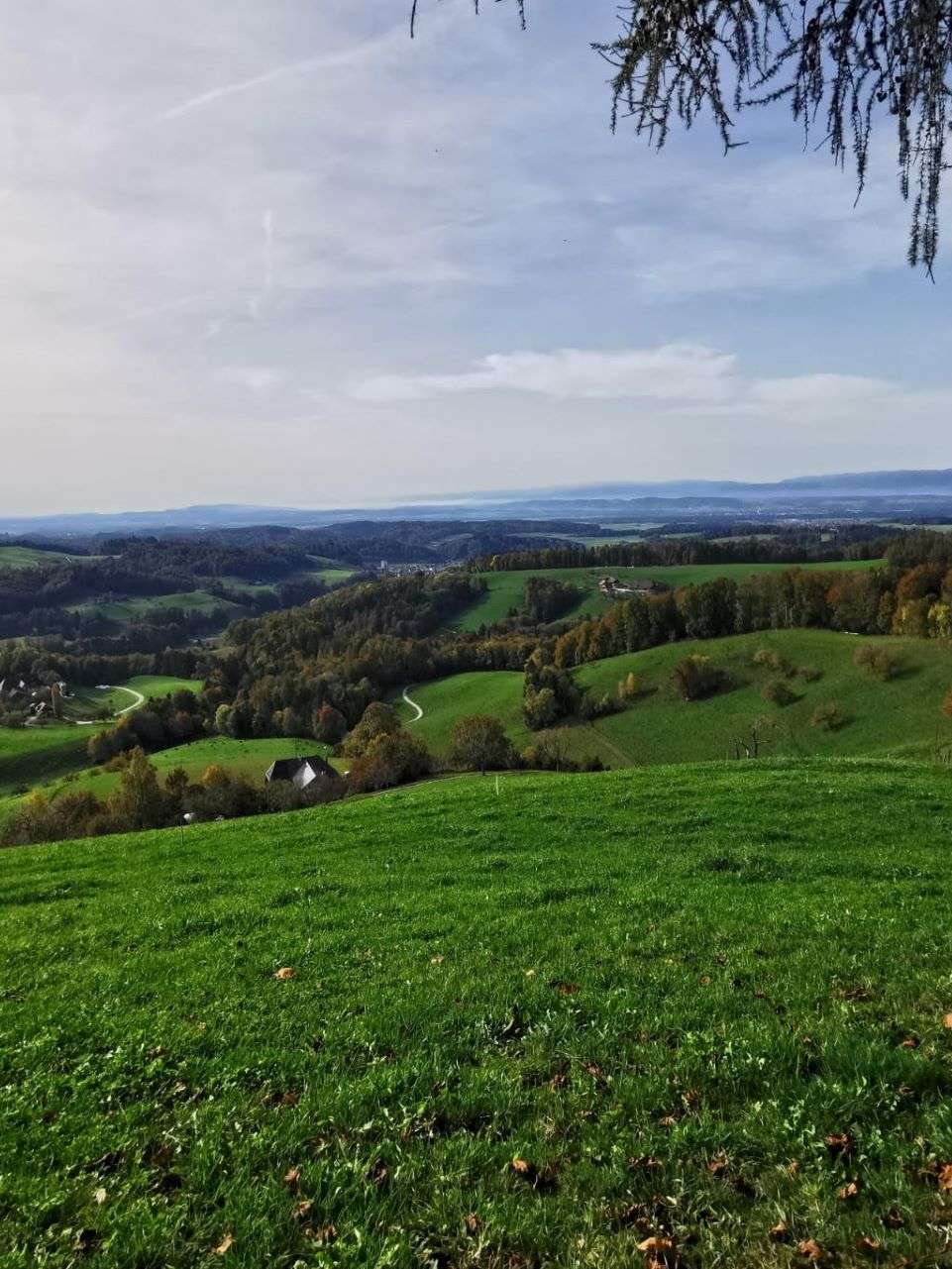 Oberbühlchnubel, Wynigen