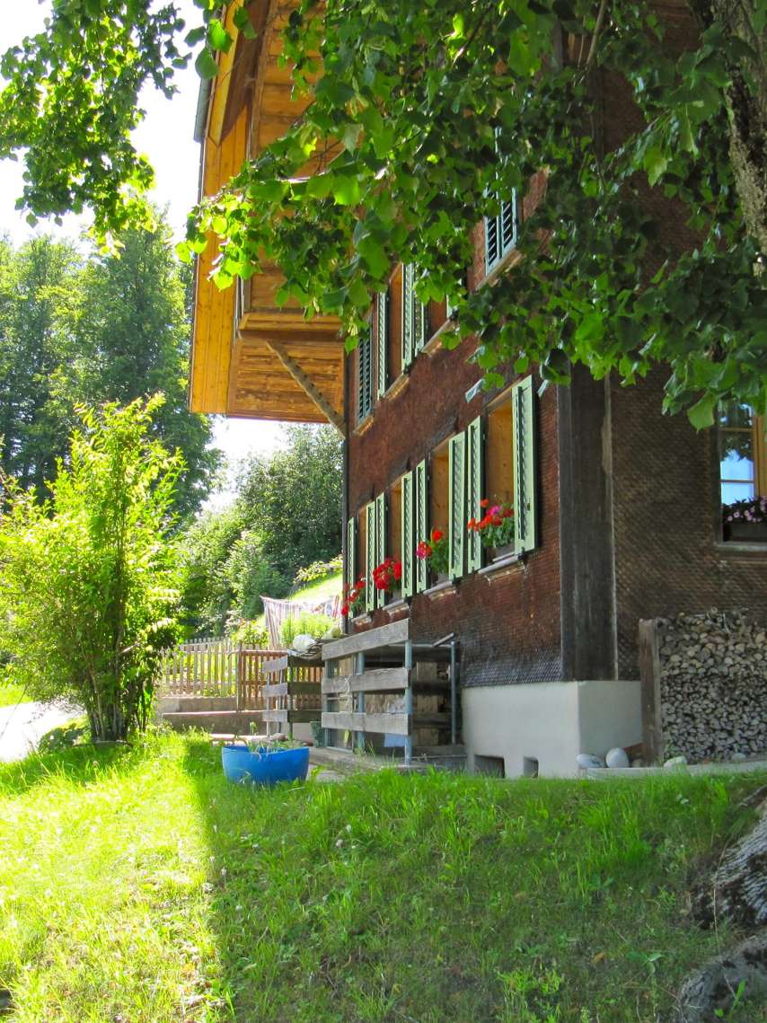 04: Holzsammelstelle Kaltacker 