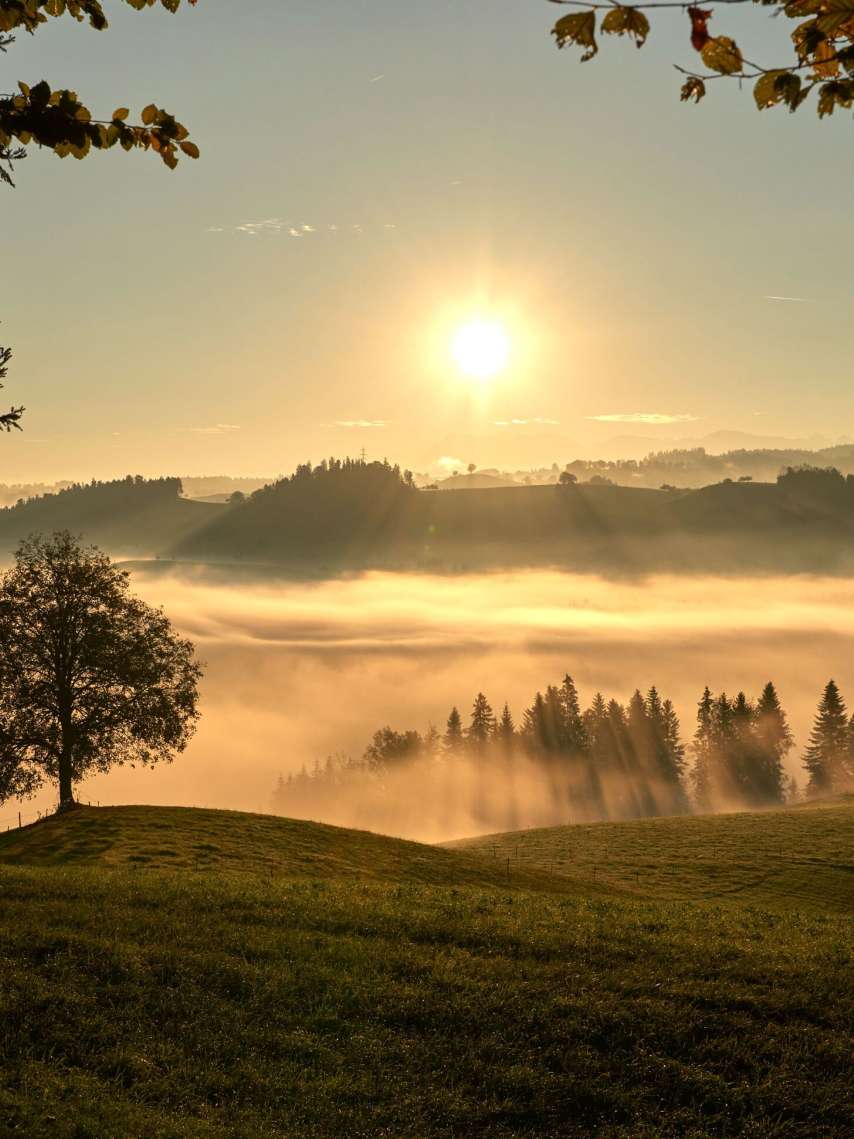 Genuss-Tipp: Bären Kochclub