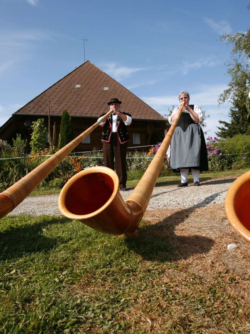 Musik-Tipp: Alphorn Montage