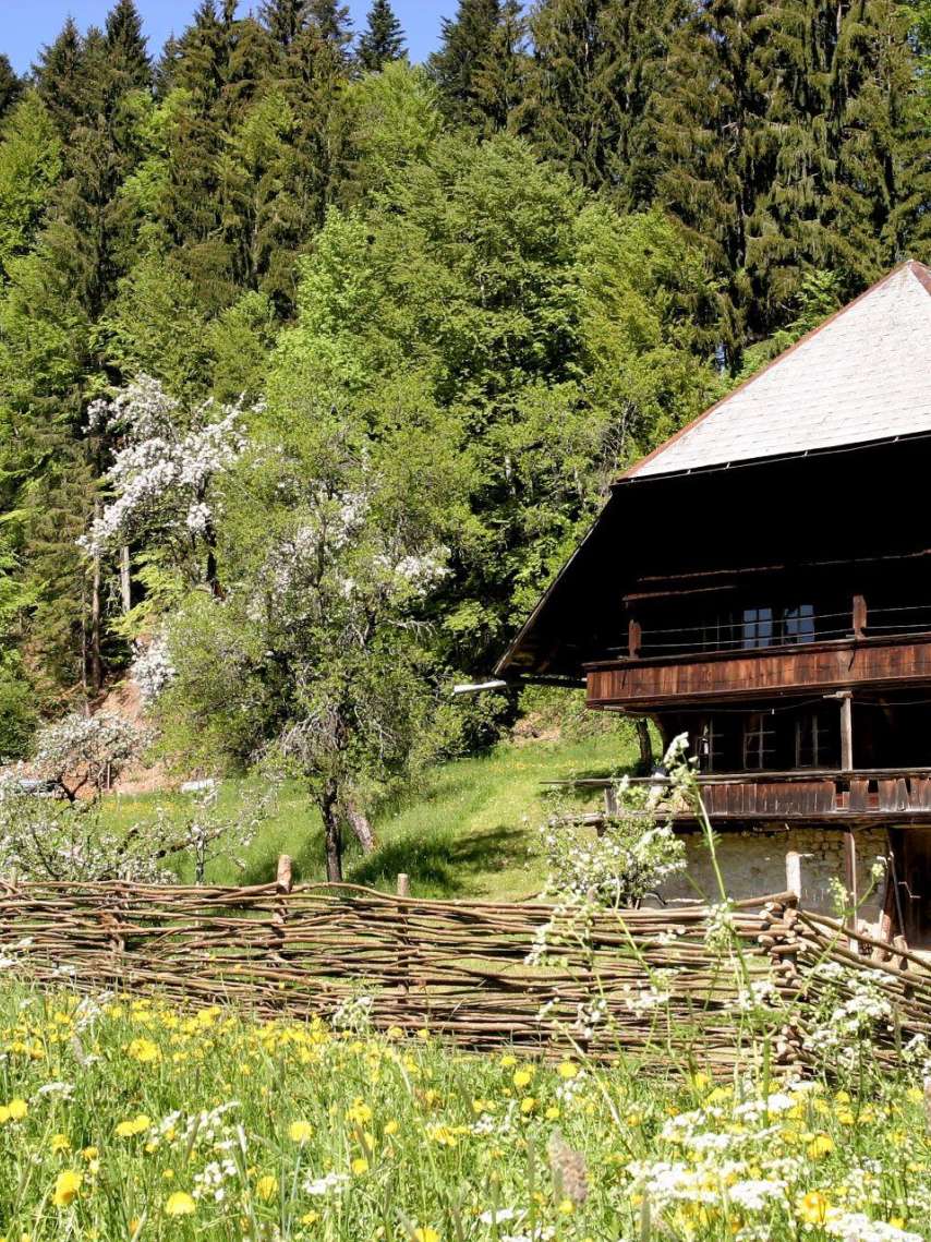 Sahlenweidli, Röthenbach