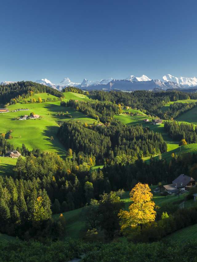 Sumiswald