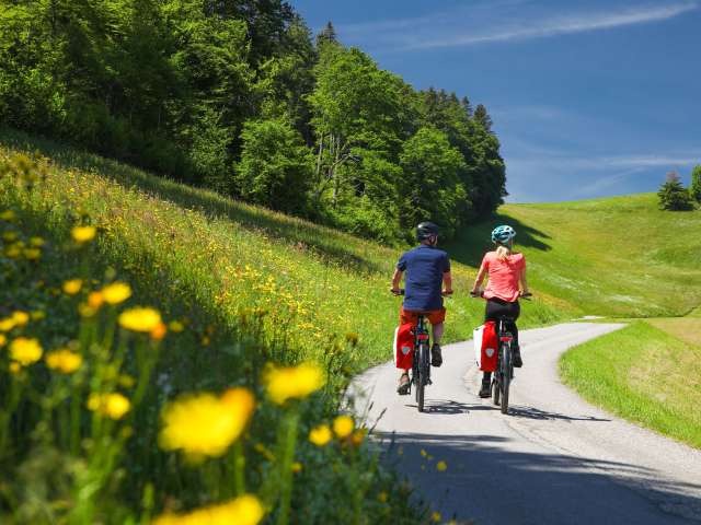 E-Bike Tagesmiete Burgdorf