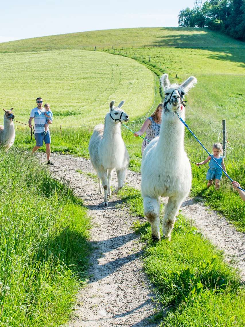 Übernachtungs-Tipp: Lamahof Tschäppel