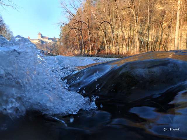 Fischlehrpfad, Burgdorf