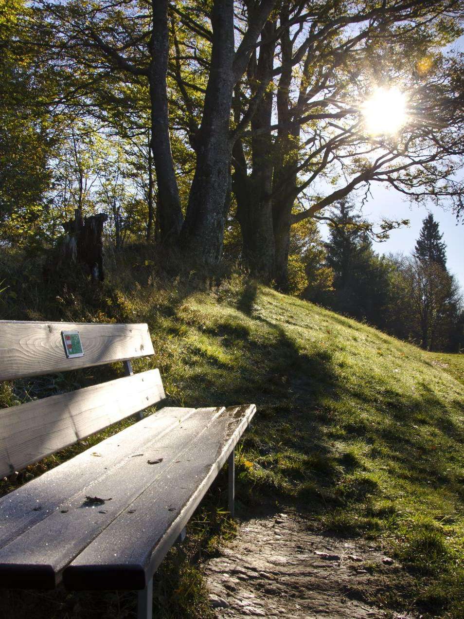 Lüderenalp, Wasen i.E