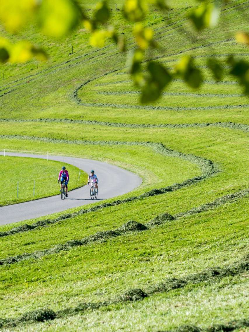 Für Gümmeler:innen