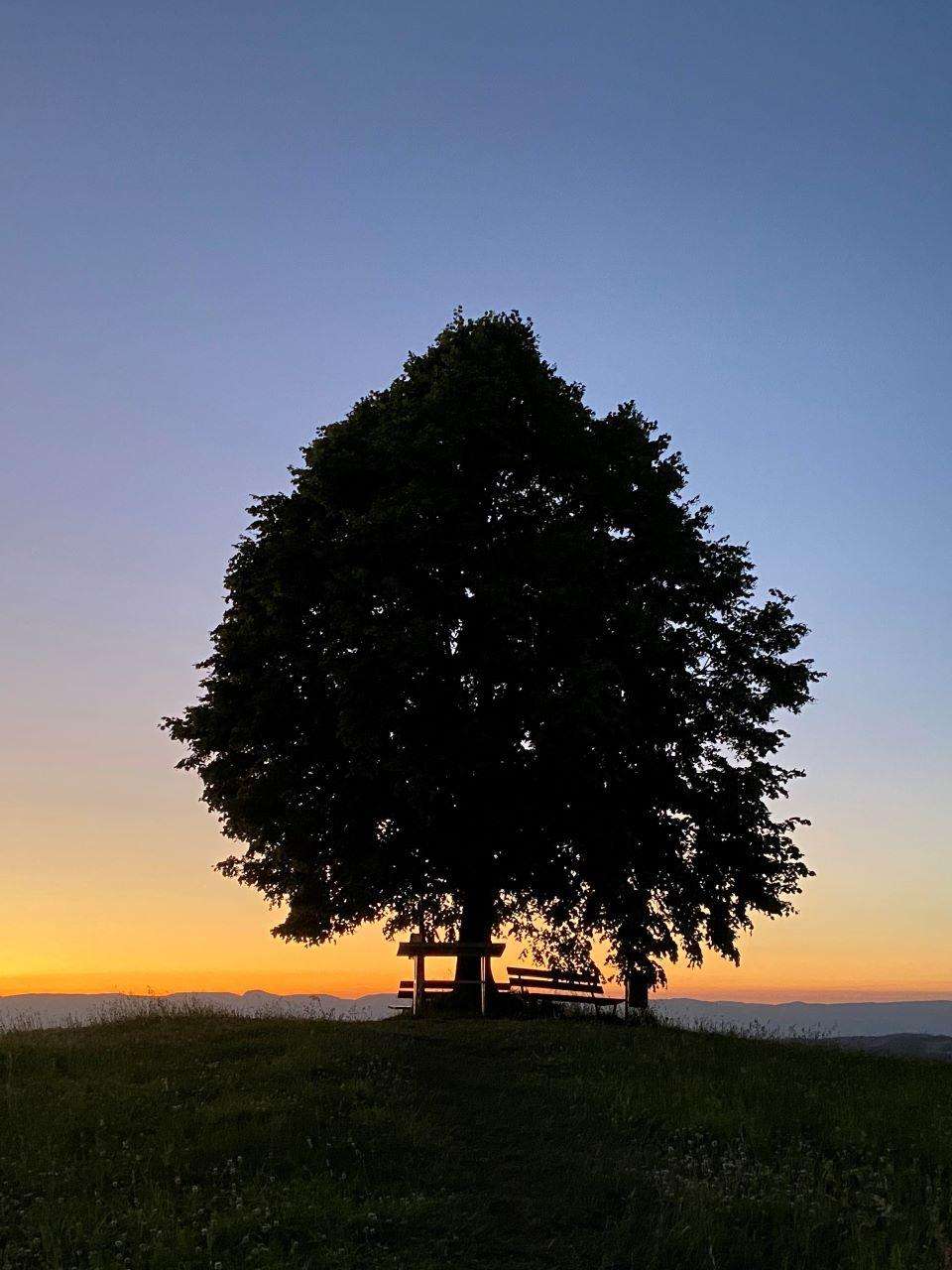 Aspi Linde, Obergoldbach