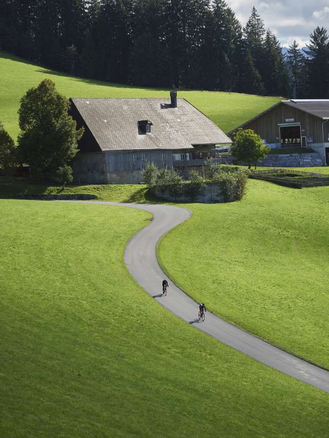 Kappeler & Fritzenfluh