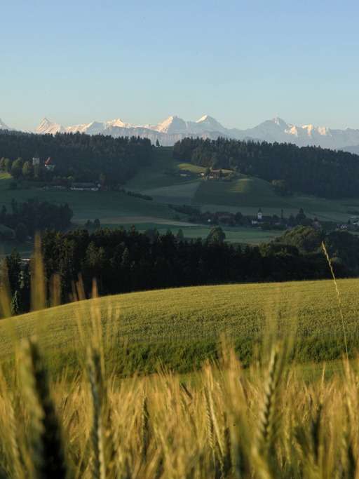 Mittleres Emmental