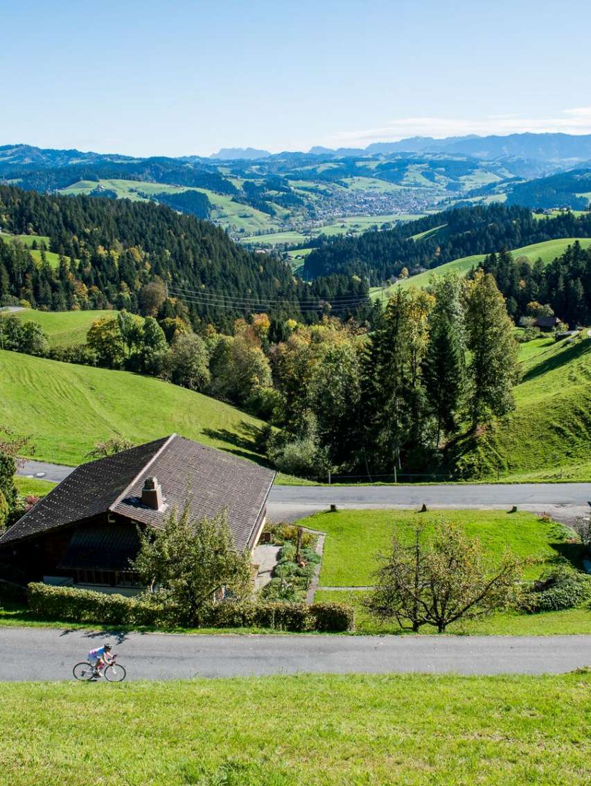 Für Rennvelo-Liebhaber