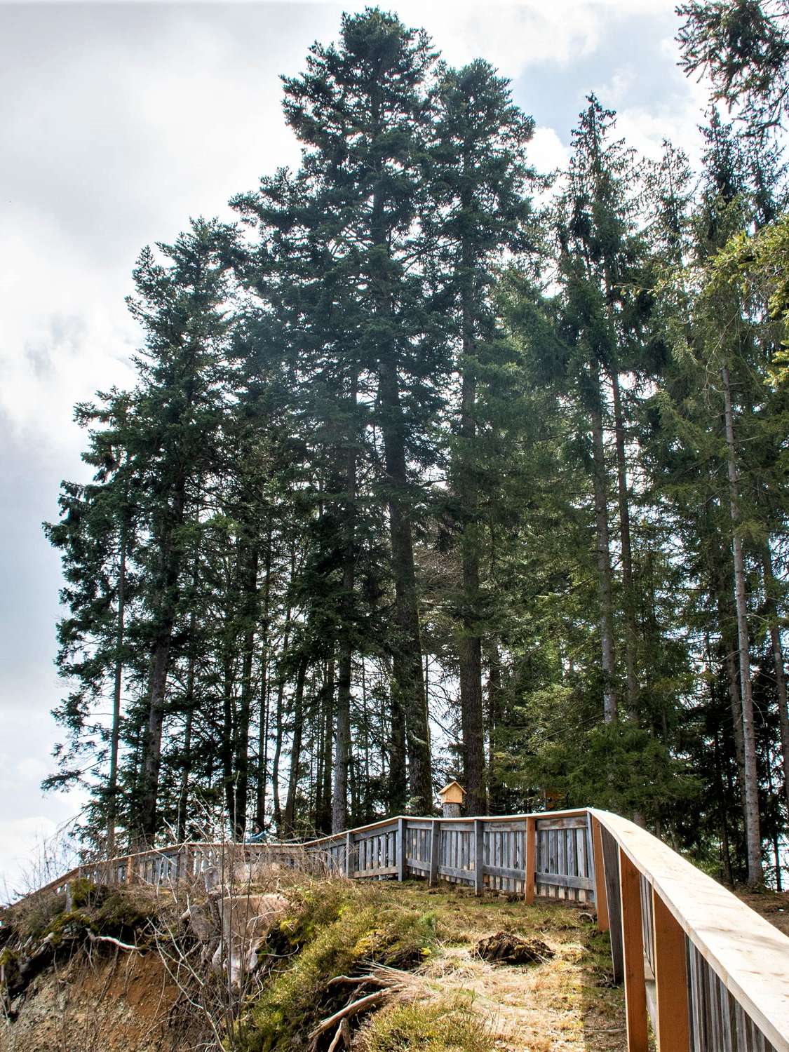 Blasenfluh, Oberthal