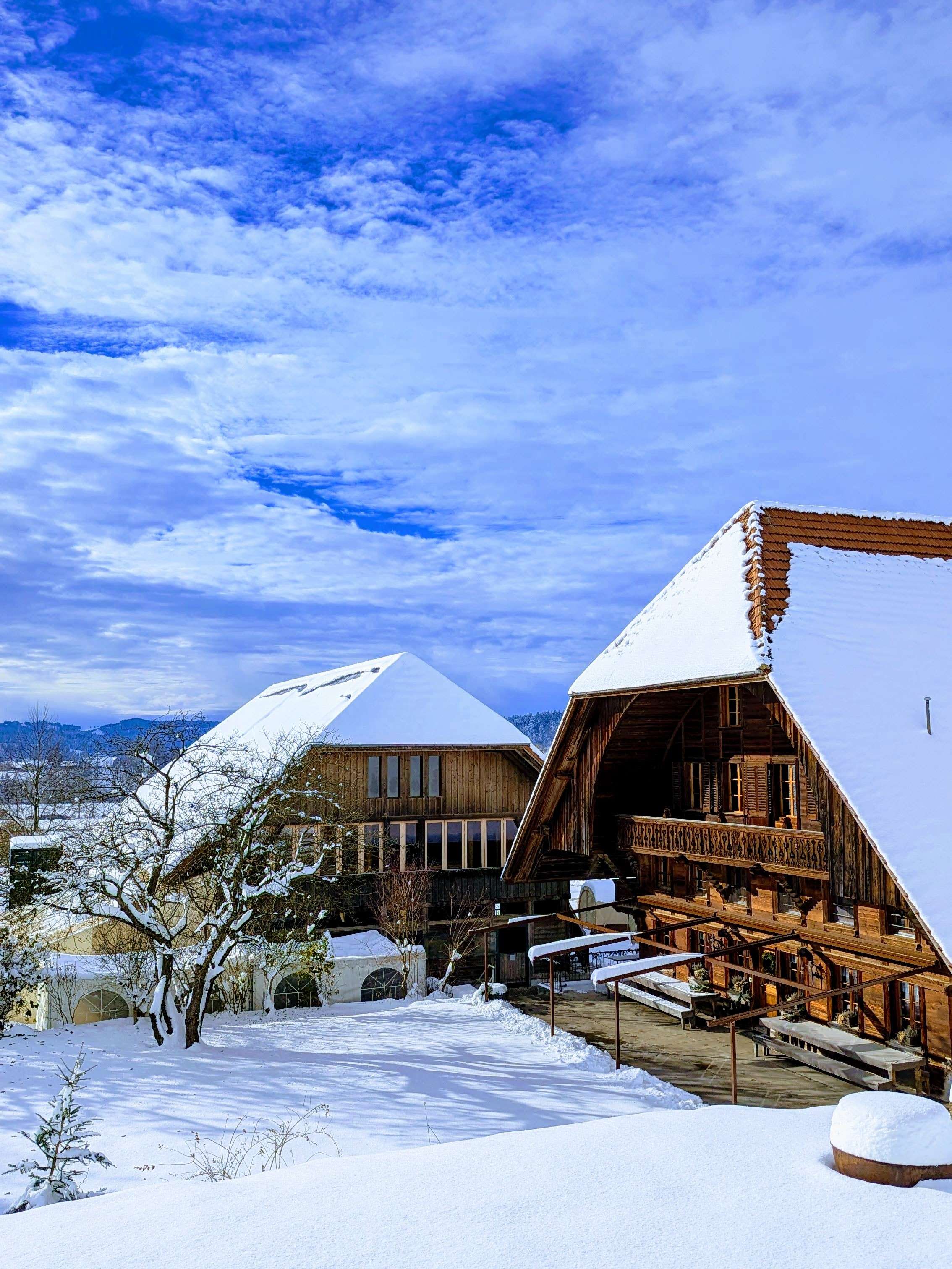 Winterliche Events im Haflinger-zentrum