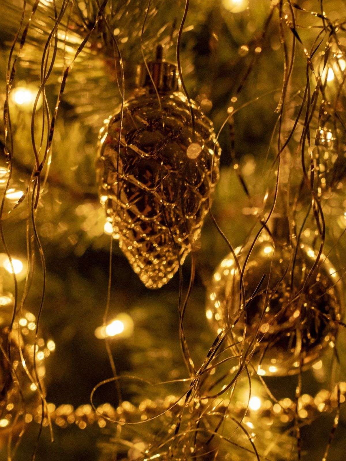 Goldbacher Weihnachtsbäume