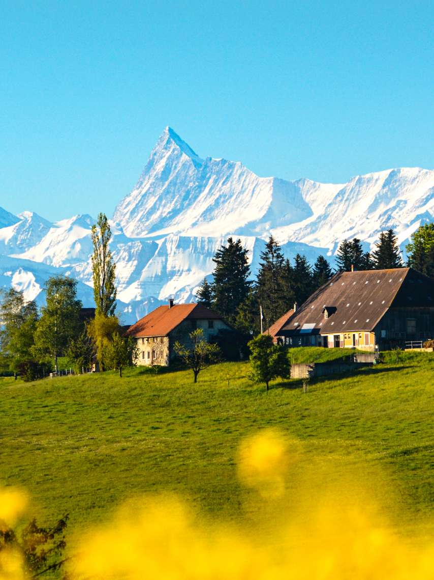 Frühlings-Tipp: Mitmachen & Gewinnen