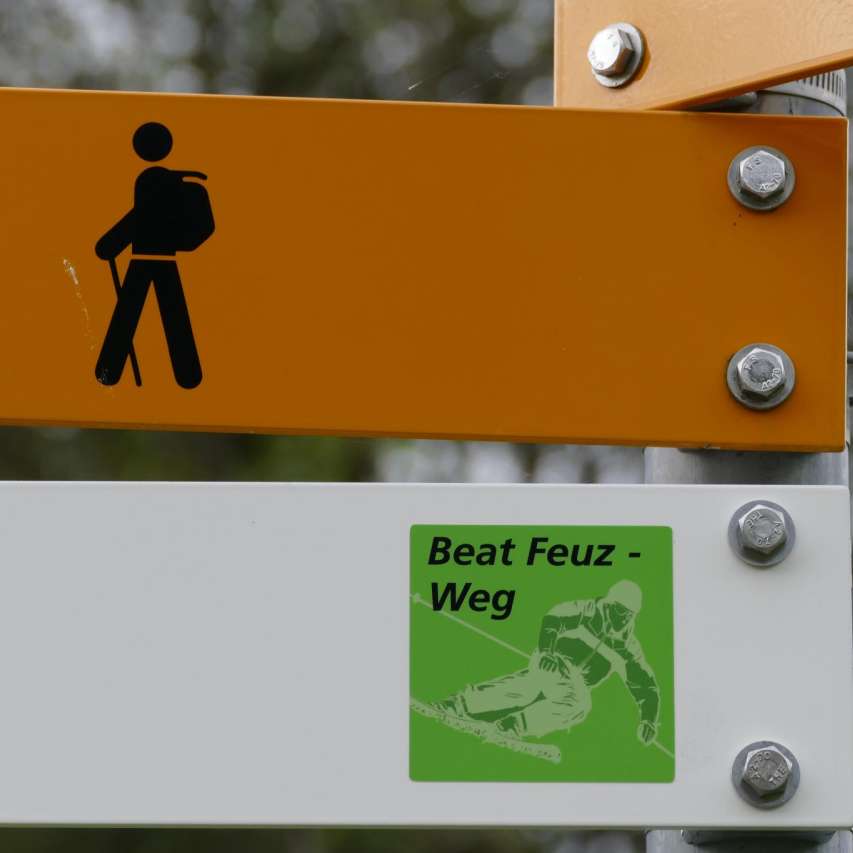 Beat Feuz - Weg
