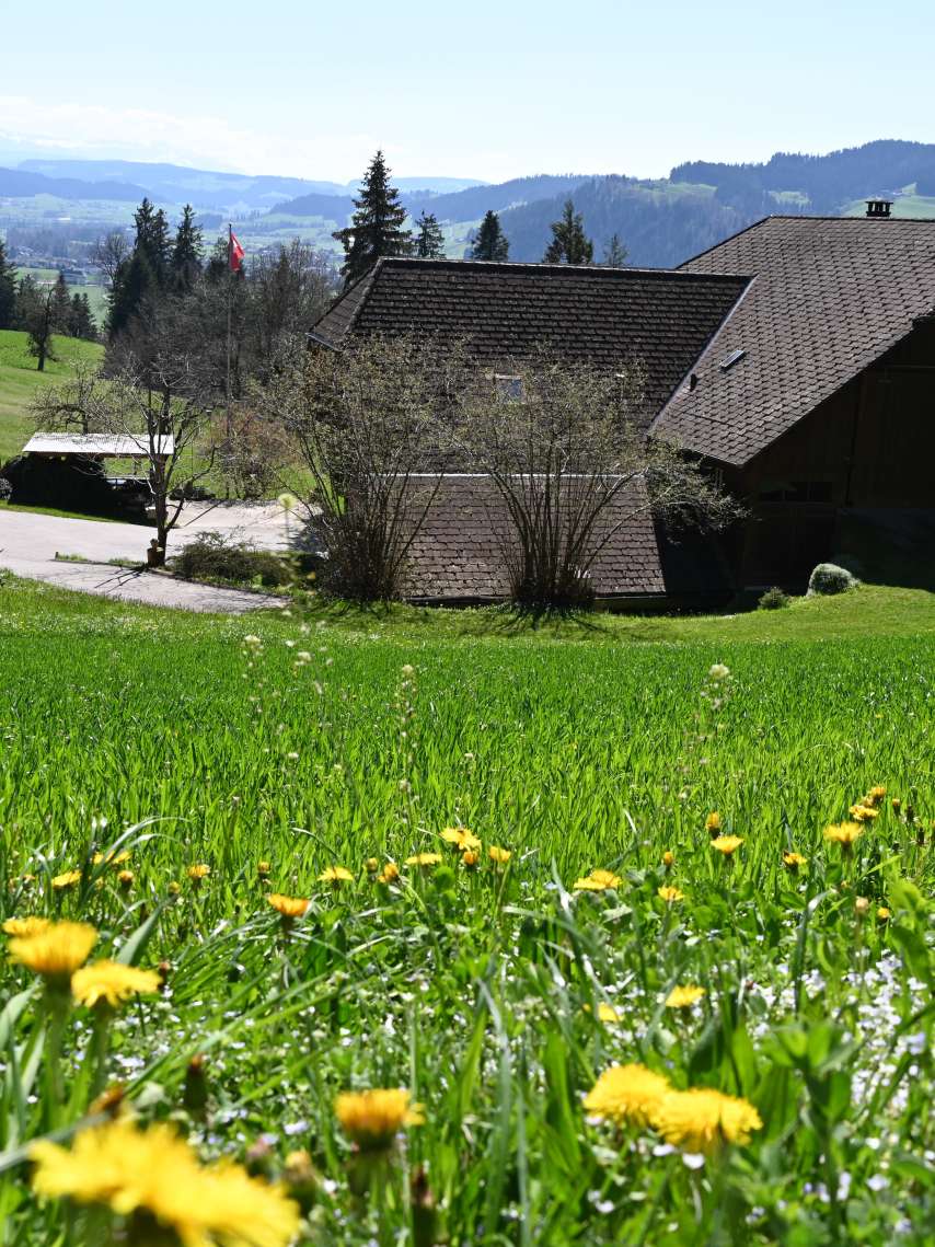 Übernachtungs-Tipp: Ferienwohnung Benzenberg
