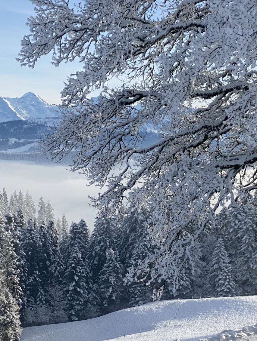 Für Aussicht-Liebende