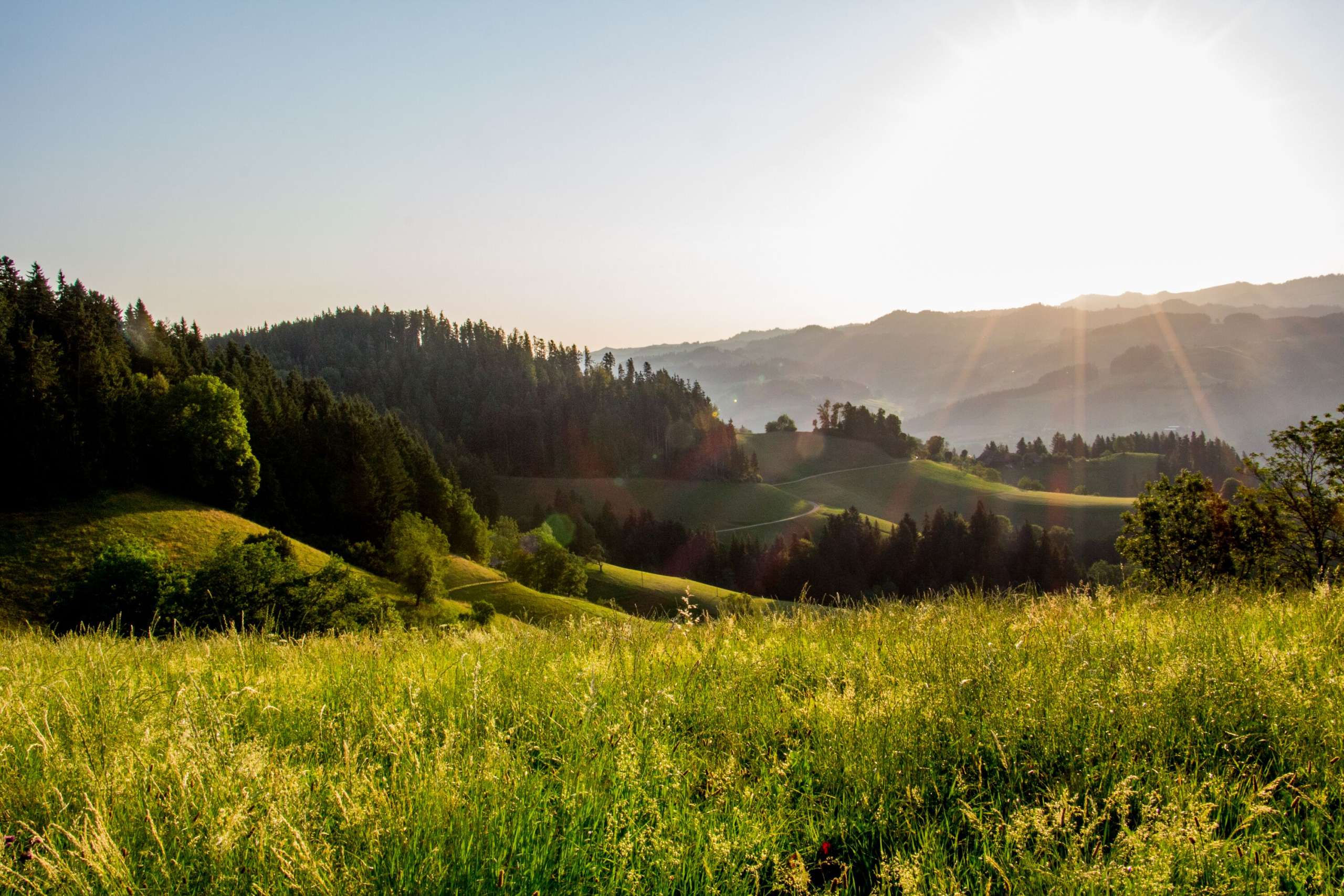Schöne Sicht über die Emmentaler Hügellandschaft. Aussicht von der Moosegg in Lauperswil.