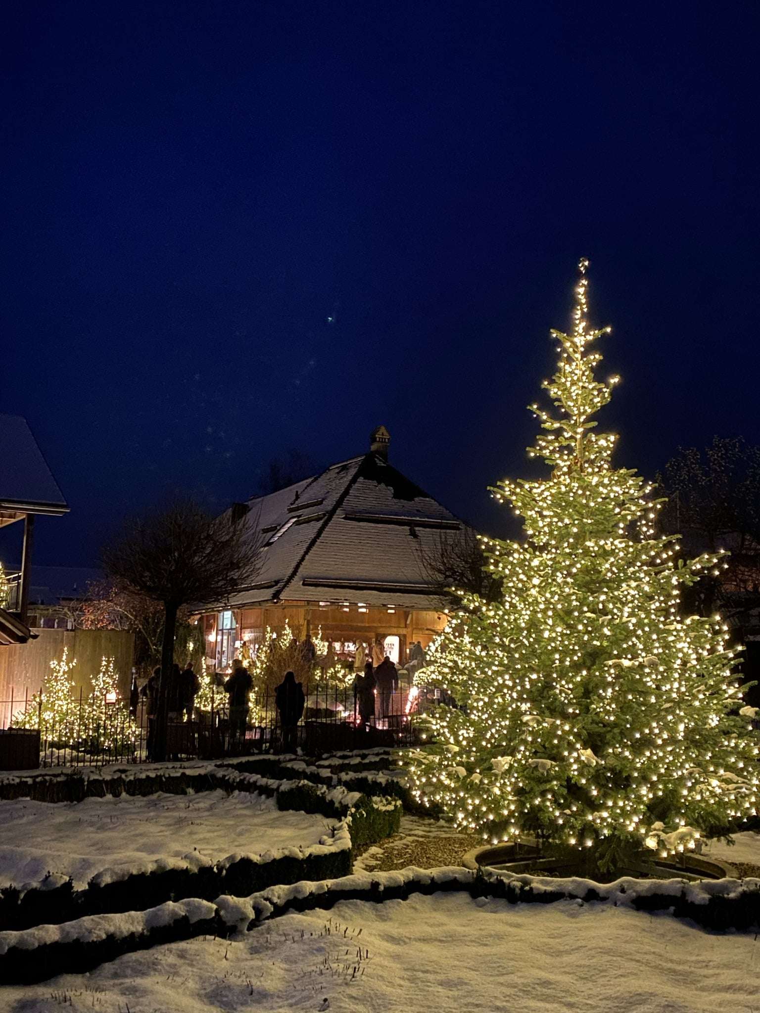 Weihnachtswelt im Gartenfenster Dürrenroth
