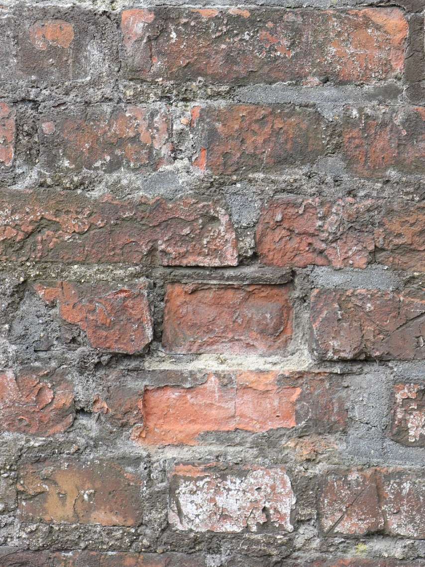 Event-Tipp: Konzerte im Schmidechäuer