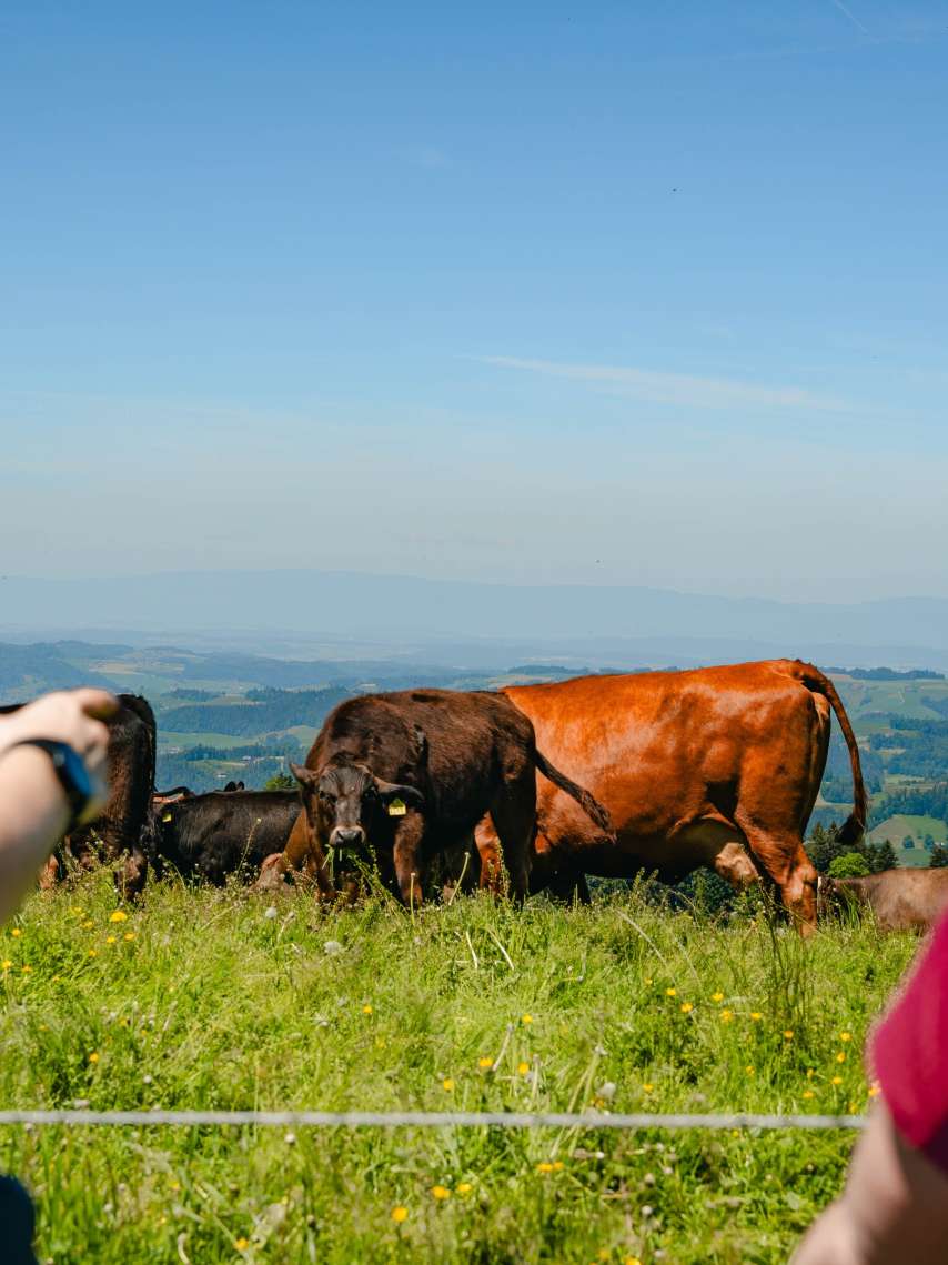 Lese-Tipp: Geschichten