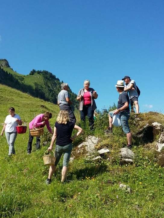 Unterwegs mit Kräuterhexe